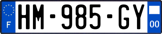 HM-985-GY