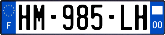 HM-985-LH