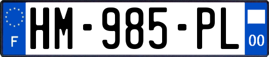 HM-985-PL