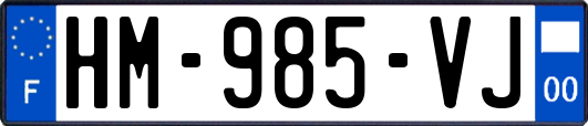 HM-985-VJ