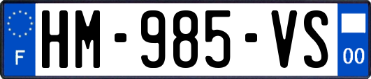 HM-985-VS