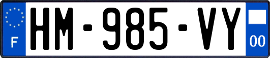 HM-985-VY
