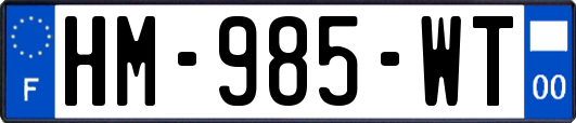 HM-985-WT