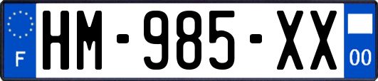 HM-985-XX