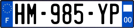 HM-985-YP