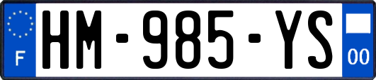 HM-985-YS