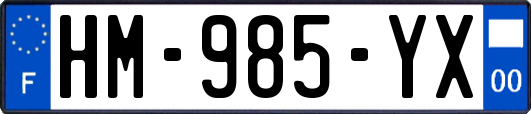 HM-985-YX