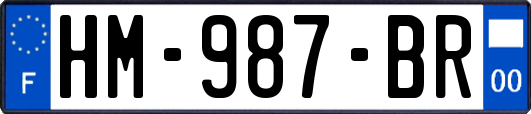 HM-987-BR