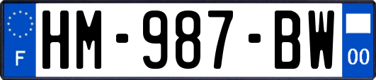 HM-987-BW
