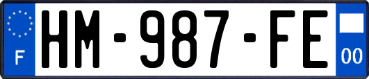 HM-987-FE