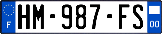 HM-987-FS