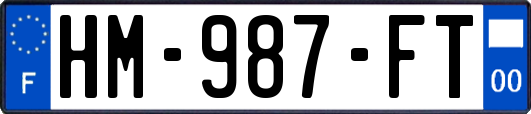 HM-987-FT