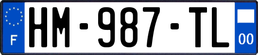HM-987-TL