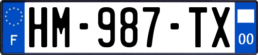 HM-987-TX