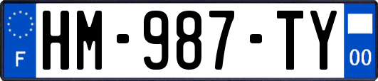 HM-987-TY