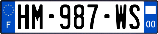 HM-987-WS