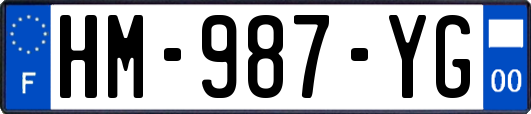 HM-987-YG