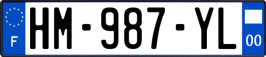 HM-987-YL