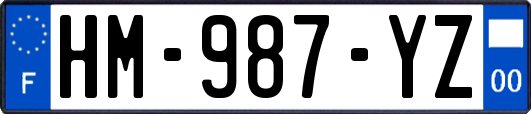 HM-987-YZ