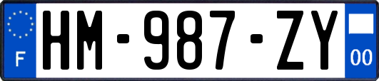 HM-987-ZY