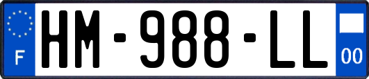 HM-988-LL
