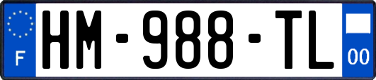 HM-988-TL