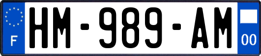 HM-989-AM