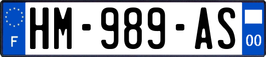 HM-989-AS