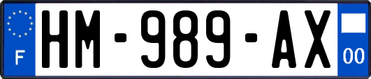 HM-989-AX