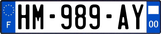 HM-989-AY