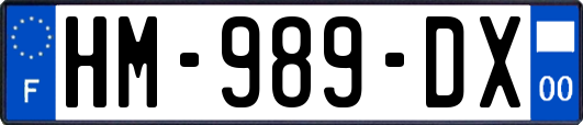 HM-989-DX