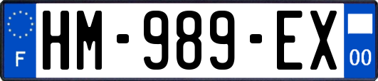 HM-989-EX