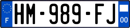 HM-989-FJ