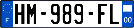 HM-989-FL