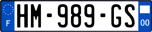 HM-989-GS