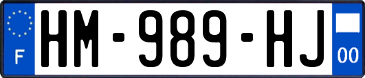 HM-989-HJ