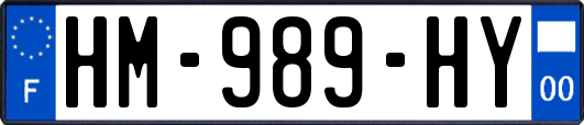 HM-989-HY