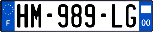 HM-989-LG