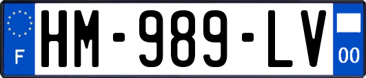 HM-989-LV