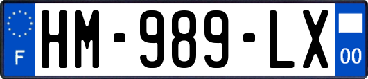 HM-989-LX