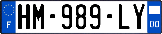 HM-989-LY