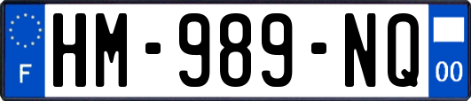 HM-989-NQ