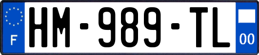 HM-989-TL