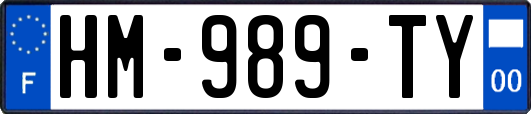 HM-989-TY