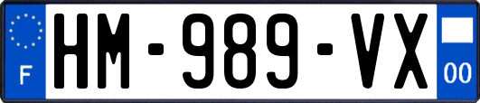 HM-989-VX