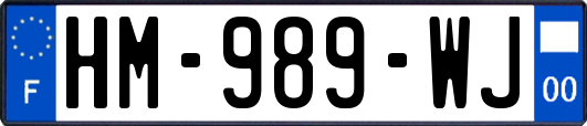 HM-989-WJ
