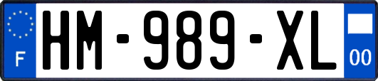HM-989-XL