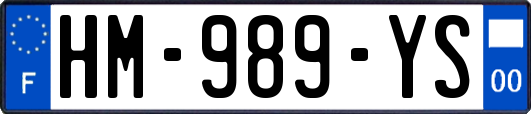 HM-989-YS