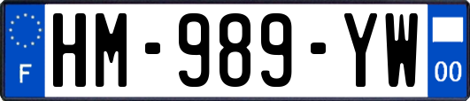 HM-989-YW