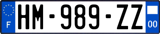 HM-989-ZZ